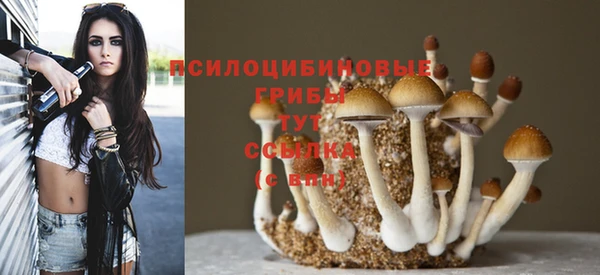 кристаллы Няндома