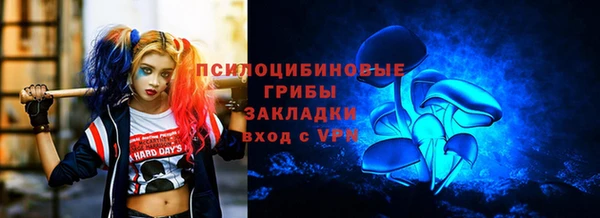 MESCALINE Осинники