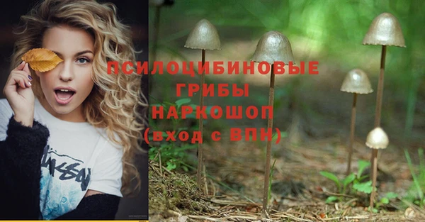 гашик Нягань