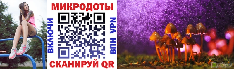 Галлюциногенные грибы мицелий  Николаевск 